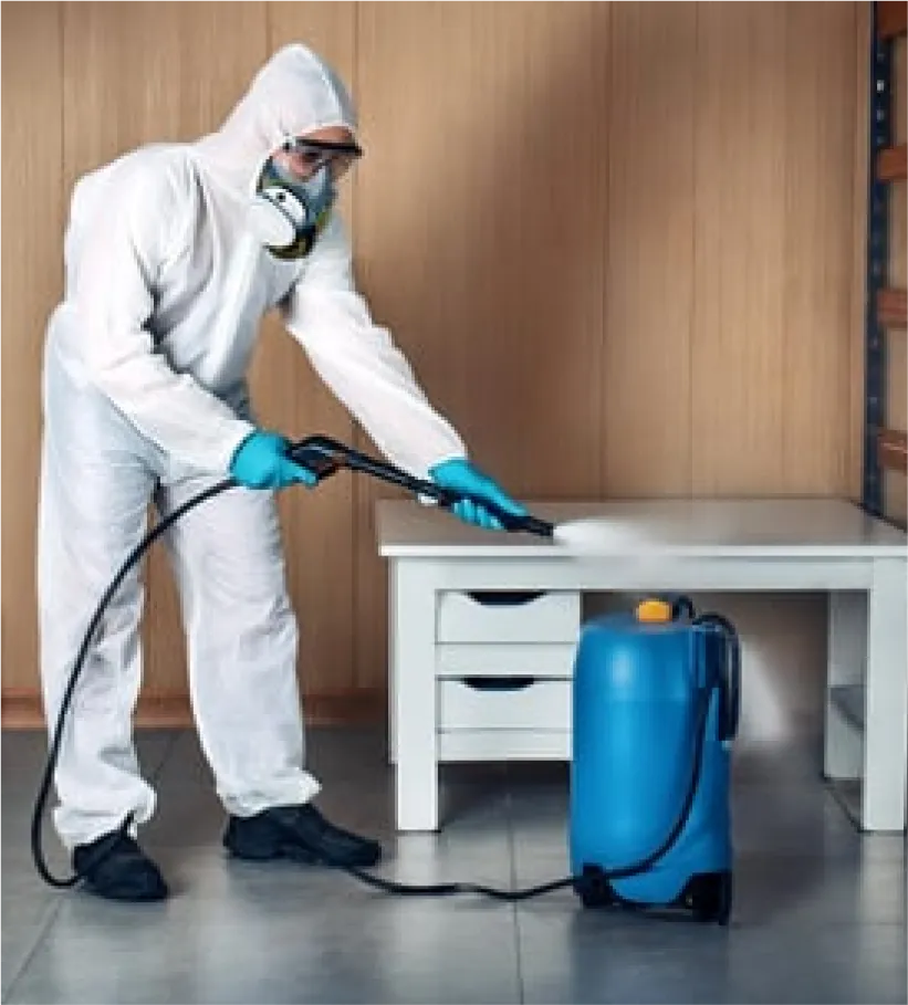 Nuisi Breizh Deratisation Vannes Desinfection