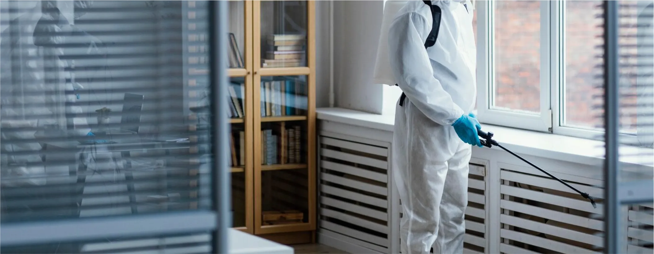 Nuisi Breizh Deratisation Vannes Mes Realisations 04 3