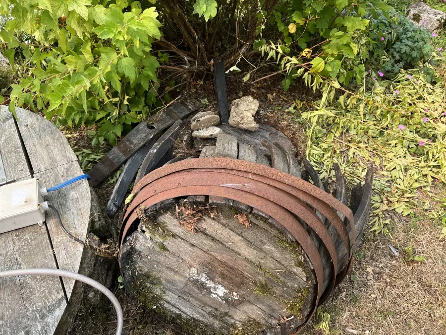 Nuisi Breizh Deratisation Vannes Desinsectisation 13