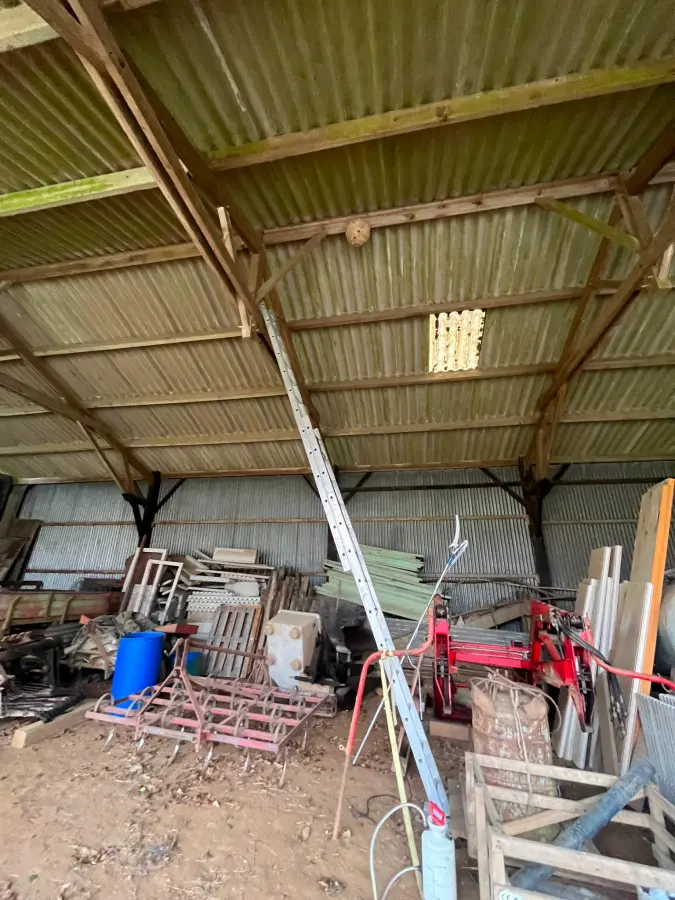 Nuisi Breizh Deratisation Vannes Desinsectisation 27