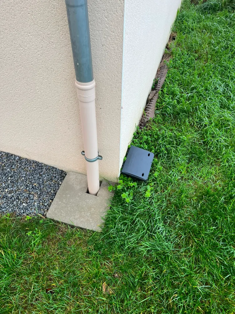 Nuisi Breizh Deratisation Vannes Deratisation10