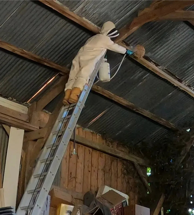 Nuisi Breizh Deratisation Vannes Desinfection Nuisi Breizh Deratisation Vannes Desinfection